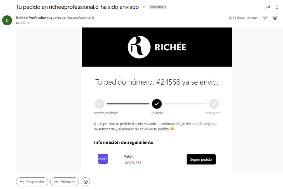 Tienda Virtual con Webpay y asistente de ventas con IA 24/7 - Imagen 4